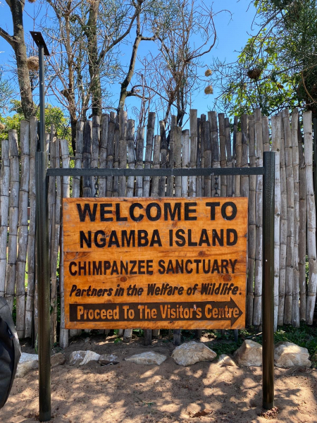 Ngamba Island Chimpanzee Sanctuary
